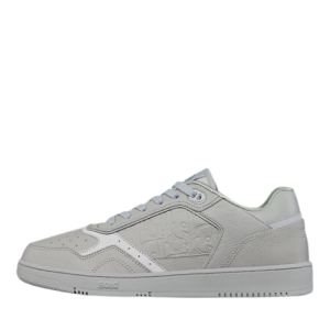Dior B27 Low All Gray