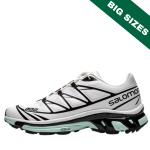 Salomon XT-6 "White Icy Morn"