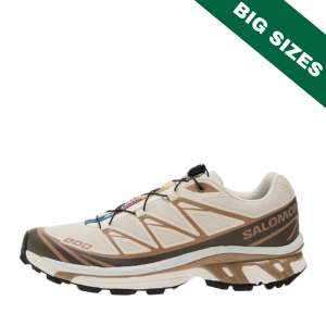 Salomon XT-6 “Portabella/ Ice Fl”